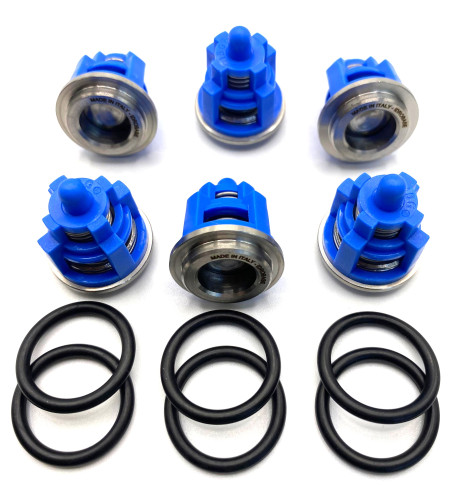 Комплект клапанов KIT 123 для насоса высокого давления Bertolini TML, TM, RAL, RB, ZX.1820, Италия IDROBASE
