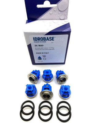 KIT 123 TML, TM, RAL, RB Комплект клапанов для Bertolini, ZX.1820 Италия IDROBASE