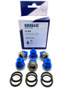 Комплект клапанов KIT 123 для насоса высокого давления Bertolini TML, TM, RAL, RB, ZX.1820, Италия IDROBASE