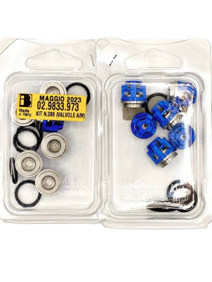 02.9833.973 KIT 286 Комплект клапанов для Bertolini WJC (2012), Оригинал