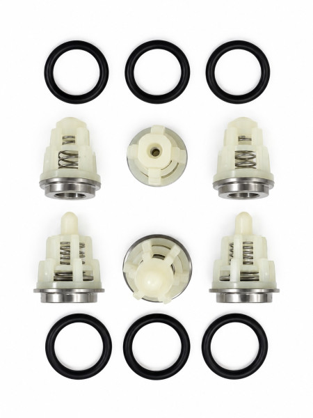 KIT 269/34026901 Комплект клапанов для IPG E2D2013, E2B2014, E3B2515
