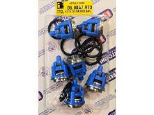123 KIT TML, TM, RAL, RB Комплект клапанов для Bertolini TML, TM, RAL, RB. Оригинал