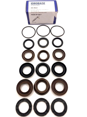 50190218 KIT 102 Комплект водных уплотнений для Comet FW2, FW3 Ø18 мм, ZX.1543, Италия IDROBASE