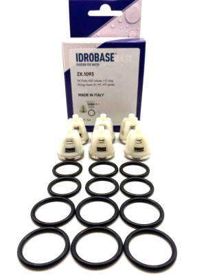 260008/19055430/1.905-543.0 Комплект клапанов для Hawk серия NMT, NPM, MT, ZX.1093, Италия IDROBASE