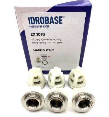 260008/19055430/1.905-543.0 Комплект клапанов для Hawk серия NMT, NPM, MT, ZX.1093, Италия IDROBASE