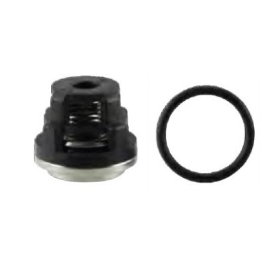 Клапан для насосов DANAU с плунжером Ø15 мм