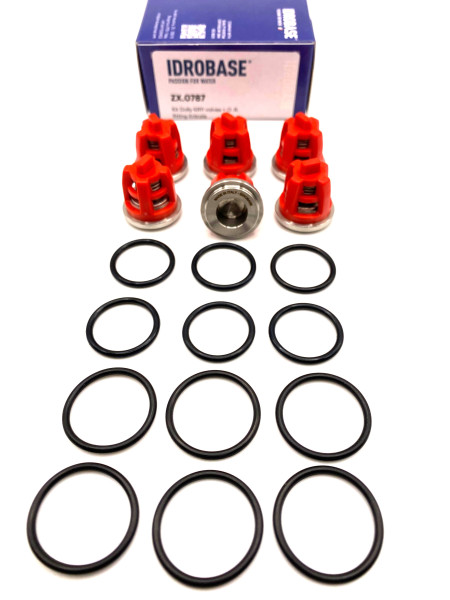 Комплект клапанов Kit KR11 для Kranzle моделей: AQ, B, D, HD, 3170-3270, Profi-jet, Quadro, THERM, W,  ZX.0787, Италия IDROBASE