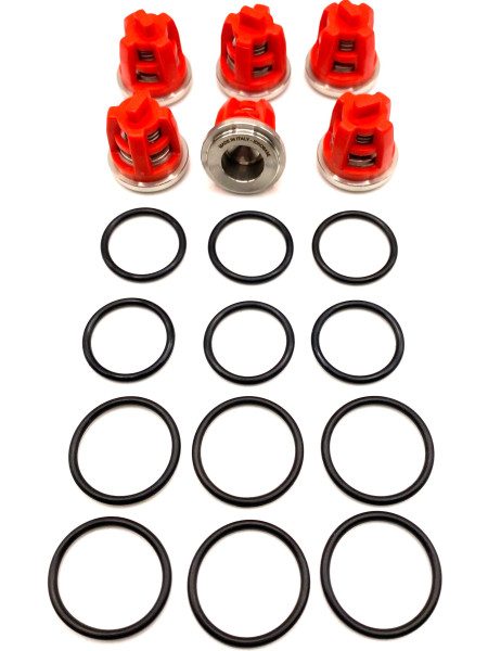 Комплект клапанов Kit KR11 для Kranzle моделей: AQ, B, D, HD, 3170-3270, Profi-jet, Quadro, THERM, W,  ZX.0787, Италия IDROBASE