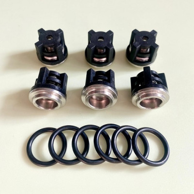 Комплект клапанов для насосов DANAU с плунжером Ø18 мм, Италия