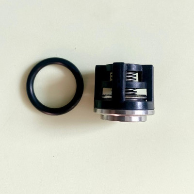 Клапан для насосов DANAU с плунжером Ø18 мм