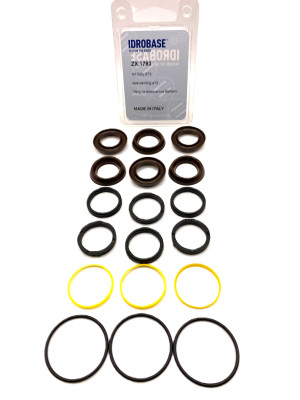07.9807.97.3/079807973 KIT 76 Комплект водяных уплотнений для Bertolini TML 1220-2020, TMH 3036-3055 Ø18 мм, ZX.1793, Италия IDROBASE
