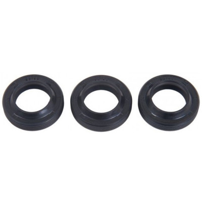 2 KIT 22х32х5.5 мм Масляные уплотнения штока плунжера аналог для Interpump (IPG), 3 шт, KTRI17860/34000201