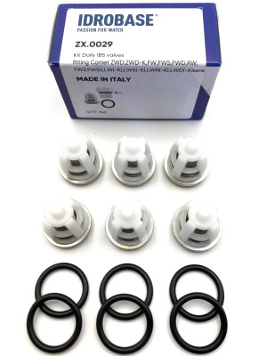 5025001100 Комплект клапанов для Comet FW2, FWS2, RW, LS, ZWD, ZWD-K, LW(-K), LWS(-K), LWR(-K), LWD(-K), FW, FWS, FWD, ZX.0029, Италия IDROBASE