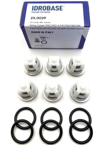 Комплект клапанов 5025001100 для Comet  FW2, FWS2, RW, LS, ZWD, ZWD-K, LW(-K), LWS(-K), LWR(-K), LWD(-K), FW, FWS, FWD, ZX.0029, Италия IDROBASE